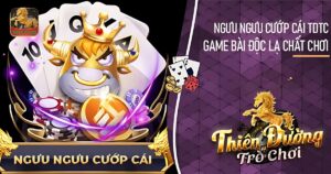 ngưu ngưu cướp cái