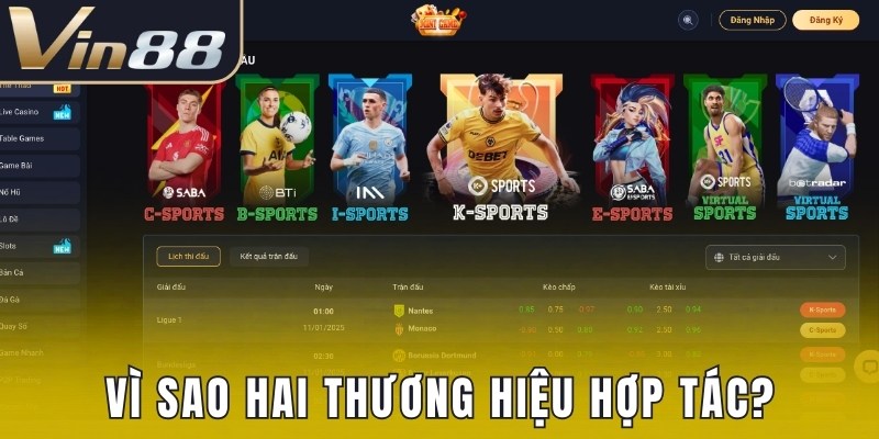 Vì sao hai thương hiệu tiến hành hợp tác?